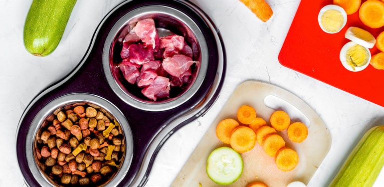 Pet-Food-Blog