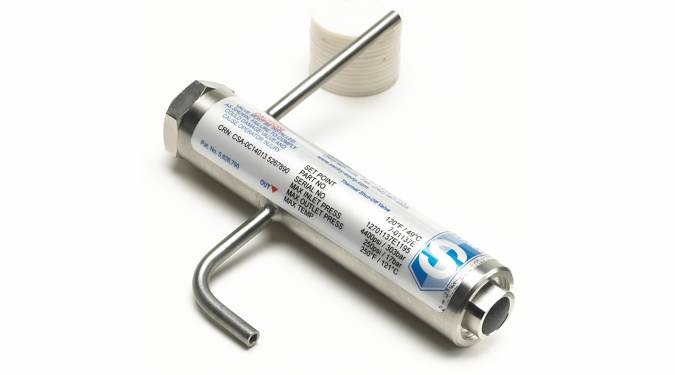 Sentry Thermal Shutoff Valve