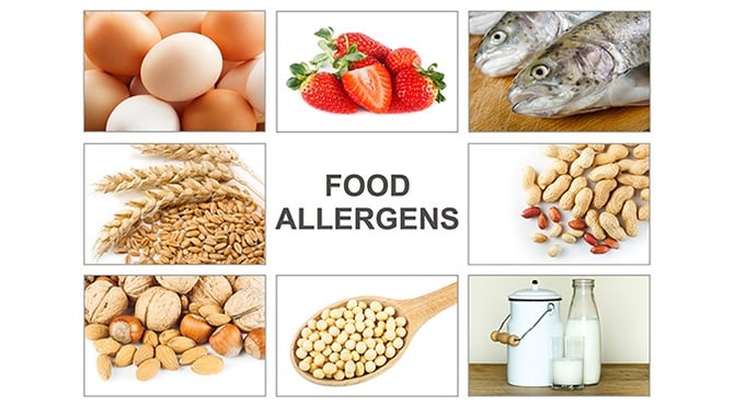 sampling-for-food-allergens.jpg